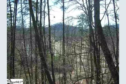 120 Ridgerunner Way, Travelers Rest, SC 29690 - Photo 8