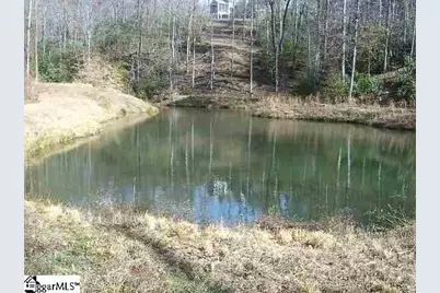 120 Ridgerunner Way, Travelers Rest, SC 29690 - Photo 6