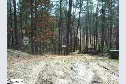 120 Ridgerunner Way, Travelers Rest, SC 29690 - Photo 4