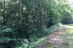 120 Ridge Runner Way, Travelers Rest, SC 29690 - Photo 1