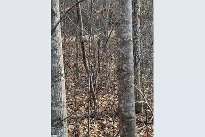 Links Ledge #Lot 17, Travelers Rest, SC 29690 - Photo 8