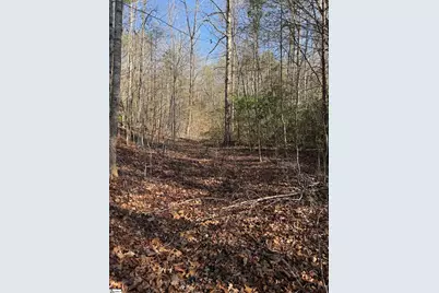 24 Windswept Lane, Travelers Rest, SC 29690 - Photo 6