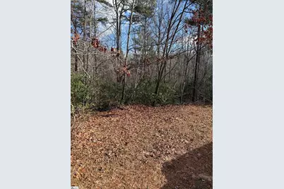 25 Lake Hill Lane, Travelers Rest, SC 29690 - Photo 8