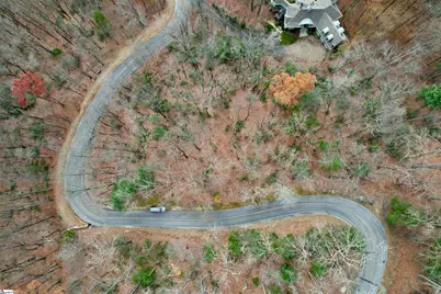 1329 Panther Park Trail, Travelers Rest, SC 29690 - Photo 4