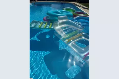 104 Oak Forest Drive, Greer, SC 29650 - Photo 26