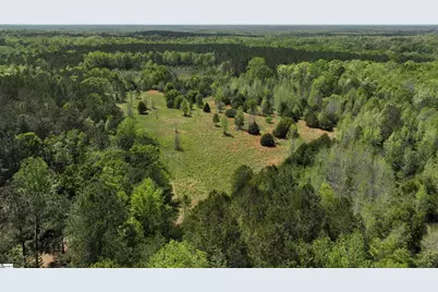 13352 Highway 76, Gray Court, SC 29645 - Photo 12