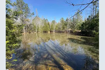 13352 Highway 76, Gray Court, SC 29645 - Photo 10