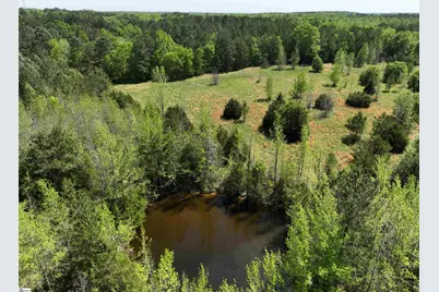 13352 Highway 76, Gray Court, SC 29645 - Photo 16