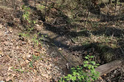 108 Spring Valley Road, Pickens, SC 29671 - Photo 42