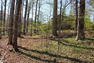 108 Spring Valley Rd, Pickens, SC 29671 - Photo 40