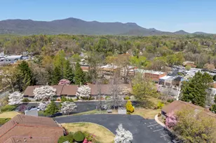 77 Chestnut St, Tryon, NC 28782 - Photo 38