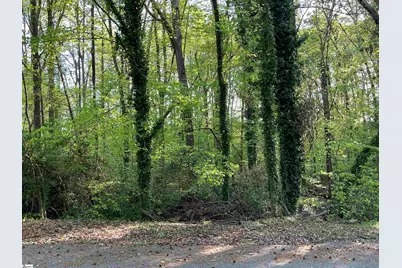 Forest Lane Drive, Gaffney, SC 29340 - Photo 4