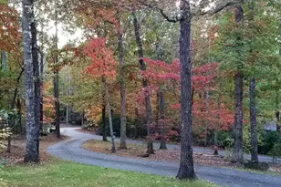 116 Dorothy Ln, Pickens, SC 29671 - Photo 4