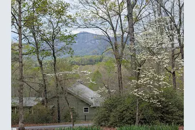 116 Dorothy Lane, Pickens, SC 29671 - Photo 2