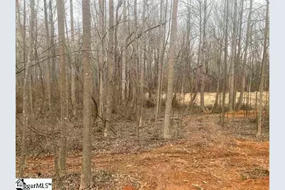 163 Rockingham Road, Duncan, SC 29334 - Photo 6