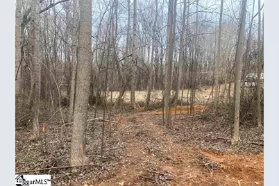 163 Rockingham Road, Duncan, SC 29334 - Photo 4