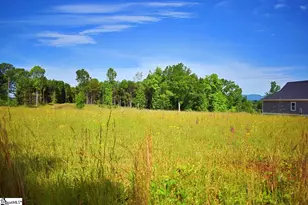 441 Gramling School Rd, Inman, SC 29349 - Photo 16