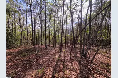 0 Pumpkintown Hwy 8, Pickens, SC 29671 - Photo 38