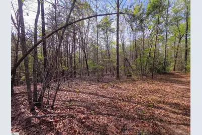 0 Pumpkintown Hwy 8, Pickens, SC 29671 - Photo 34