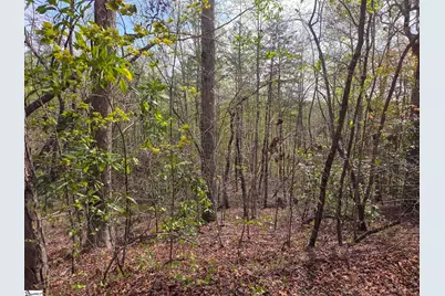 0 Pumpkintown Hwy 8, Pickens, SC 29671 - Photo 26
