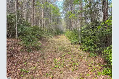 0 Pumpkintown Hwy 8, Pickens, SC 29671 - Photo 20