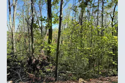 113 Stone Creek Court, Pickens, SC 29671 - Photo 8