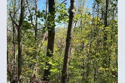 113 Stone Creek Court, Pickens, SC 29671 - Photo 6