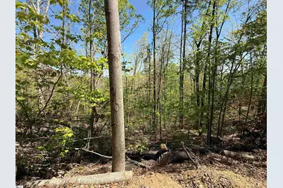 113 Stone Creek Court, Pickens, SC 29671 - Photo 2