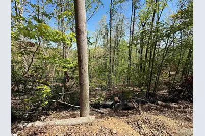 113 Stone Creek Court, Pickens, SC 29671 - Photo 4