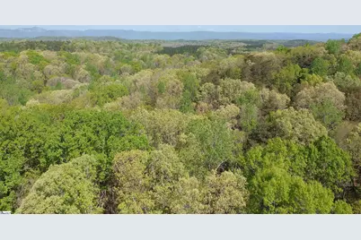 218 Sweetbriar Way, Easley, SC 29640 - Photo 8