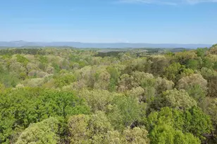 218 Sweetbriar Way, Easley, SC 29640 - Photo 8