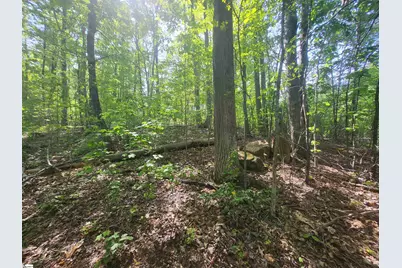 121 Laurel Valley Way, Travelers Rest, SC 29690 - Photo 6