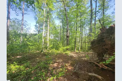 121 Laurel Valley Way, Travelers Rest, SC 29690 - Photo 1