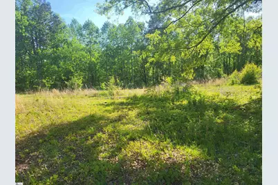 3151 N Highway 14, Greer, SC 29651 - Photo 4