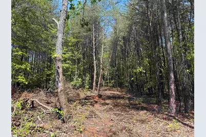 1940 Pleasant Hill Road #LOT 3-B, Greer, SC 29651 - Photo 8