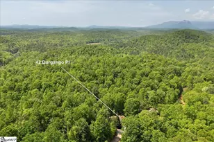 42 Durango Pl, Cleveland, SC 29635 - Photo 42