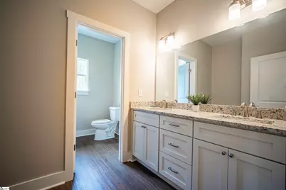221 Wood River Way, Taylors, SC 29687 - Photo 8