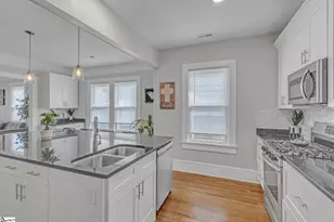 113 Sumner St, Greenville, SC 29601 - Photo 10