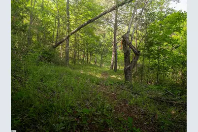 149 April Valley Lane, Pickens, SC 29671 - Photo 24