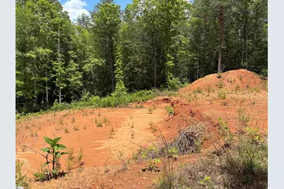 119 Tugaloo Road, Landrum, SC 29356 - Photo 8