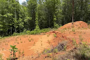 119 Tugaloo Rd, Landrum, SC 29356 - Photo 8