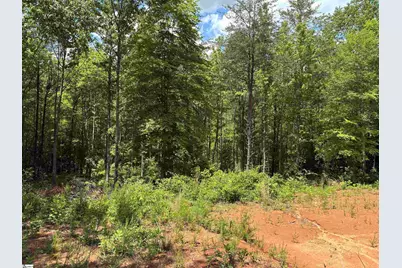 119 Tugaloo Road, Landrum, SC 29356 - Photo 10