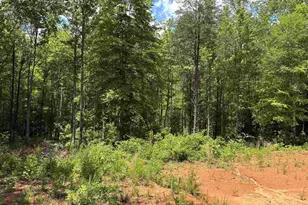 119 Tugaloo Rd, Landrum, SC 29356 - Photo 10