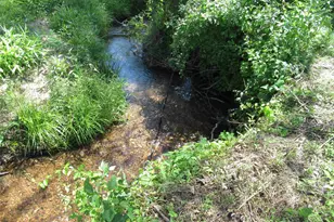 716 Sliding Rock Rd, Pickens, SC 29671 - Photo 20