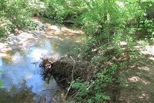 716 Sliding Rock Rd, Pickens, SC 29671 - Photo 30