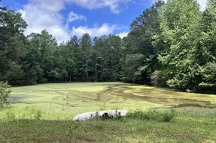 4961 221 Hwy S, Laurens, SC 29360 - Photo 48