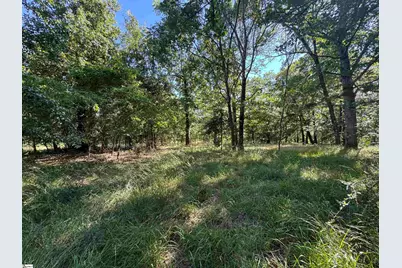 00 Farmers Hill Road, Liberty, SC 29657 - Photo 1