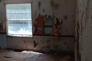 117 Watt Rogers Rd, Pelzer, SC 29669 - Photo 18