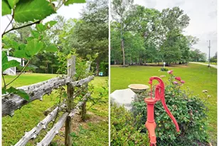 833 Duncan Creek Church Rd, Laurens, SC 29360 - Photo 42