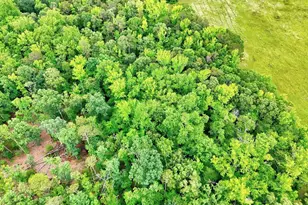 1411 Trail Rd, Belton, SC 29627 - Photo 38